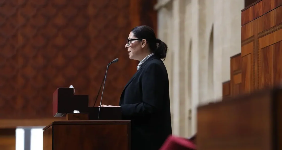 المنصوري تكشف من البرلمان ملامح المرحلة الحكومية الجديدة وتتعهد بتصحيح الاختلالات وتعزيز الدولة الاجتماعية