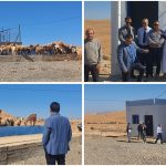 تسليم بئر لسقي الماشية لفائدة تعاونية أولاد بورحايل بجماعة امطالسة لدعم الكسابة